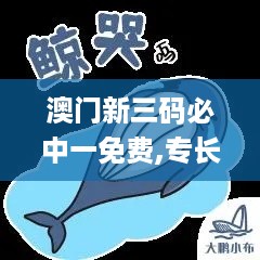 澳门新三码必中一免费,专长解答解释落实_传递版EBV7.15