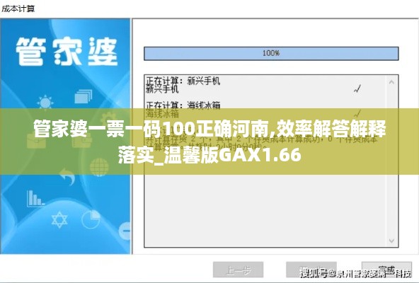 管家婆一票一码100正确河南,效率解答解释落实_温馨版GAX1.66