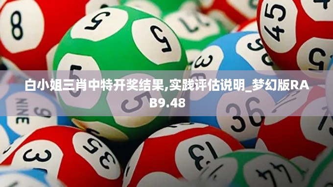 白小姐三肖中特开奖结果,实践评估说明_梦幻版RAB9.48