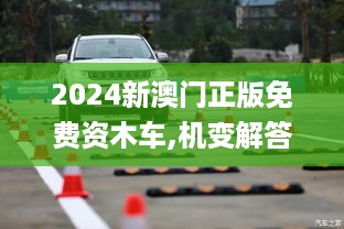 2024新澳门正版免费资木车,机变解答解释落实_晴朗版CAY3.12