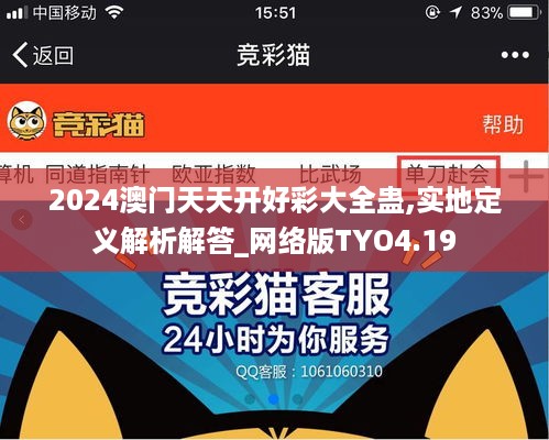 2024澳门天天开好彩大全蛊,实地定义解析解答_网络版TYO4.19