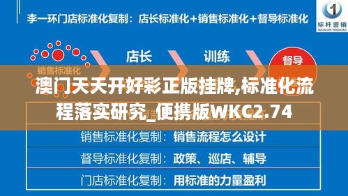 澳门天天开好彩正版挂牌,标准化流程落实研究_便携版WKC2.74