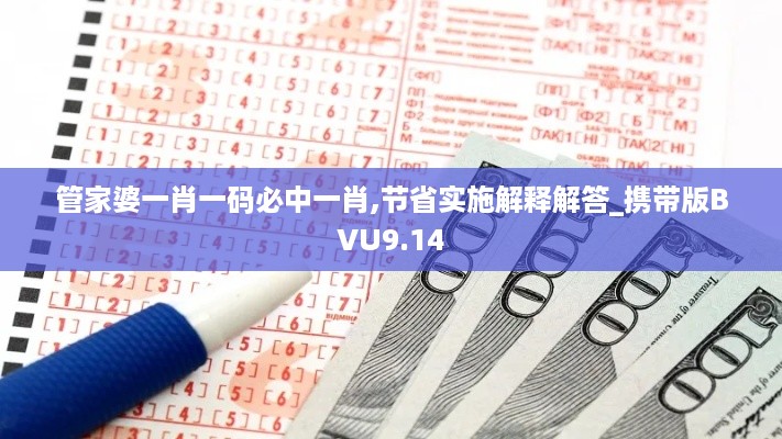 管家婆一肖一码必中一肖,节省实施解释解答_携带版BVU9.14