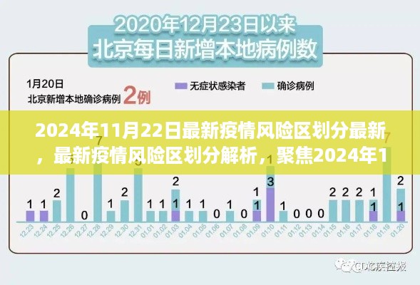 聚焦全球疫情动态，最新疫情风险区划分解析（2024年11月22日）