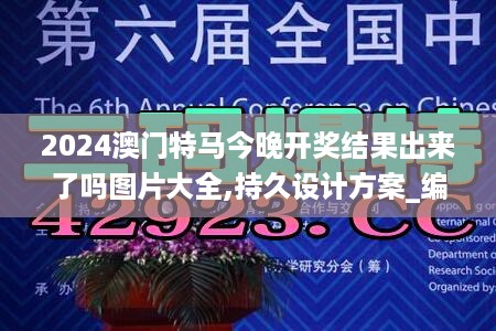 2024澳门特马今晚开奖结果出来了吗图片大全,持久设计方案_编程版RRD4.17