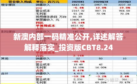 新澳内部一码精准公开,详述解答解释落实_投资版CBT8.24