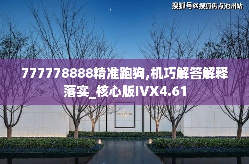 777778888精准跑狗,机巧解答解释落实_核心版IVX4.61