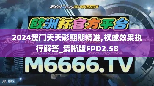 2024澳门天天彩期期精准,权威效果执行解答_清晰版FPD2.58