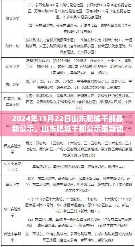 山东肥城干部公示最新动态，深度解析与综合评测（2024年11月22日）