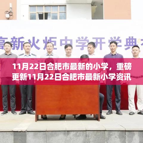 11月22日合肥市最新小学资讯，教育资源升级引领未来教育潮流