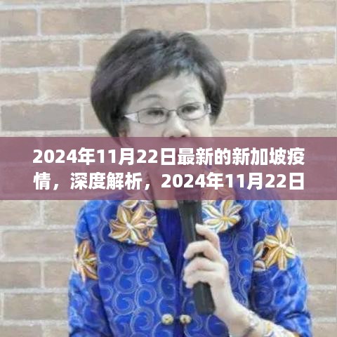 深度解析，2024年11月22日新加坡疫情现状与应对评测