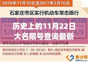 历史上的11月22日大名限号查询深度解读与最新动态消息速递