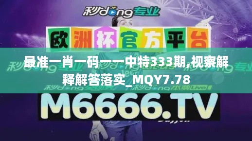 最准一肖一码一一中特333期,视察解释解答落实_MQY7.78