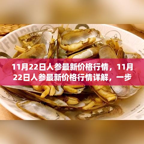 11月22日人参价格行情详解，如何把握市场走势与了解最新行情指南