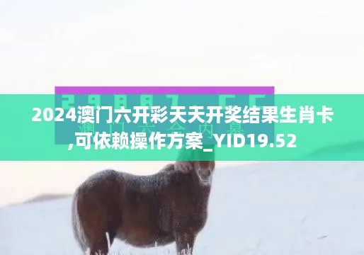 2024澳门六开彩天天开奖结果生肖卡,可依赖操作方案_YID19.52