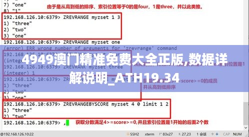 4949澳门精准免费大全正版,数据详解说明_ATH19.34