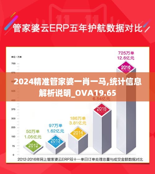 2024精准管家婆一肖一马,统计信息解析说明_OVA19.65