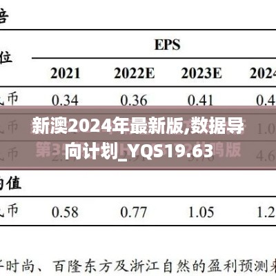 新澳2024年最新版,数据导向计划_YQS19.63