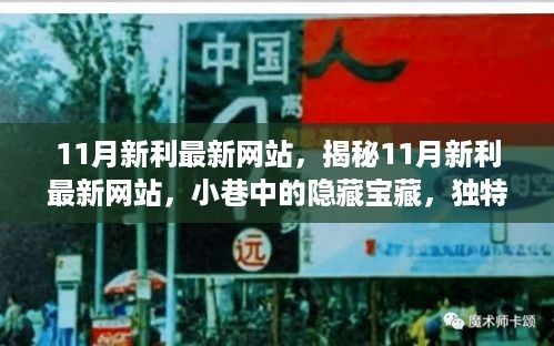 揭秘隐藏宝藏，揭秘犯罪团伙利用最新网站进行非法活动的秘密角落