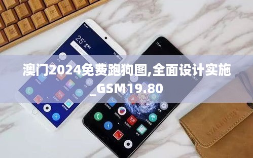 澳门2024免费跑狗图,全面设计实施_GSM19.80