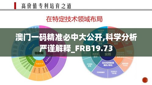 澳门一码精准必中大公开,科学分析严谨解释_FRB19.73