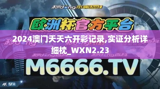 2024澳门天天六开彩记录,实证分析详细枕_WXN2.23