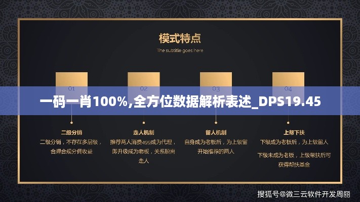 一码一肖100%,全方位数据解析表述_DPS19.45