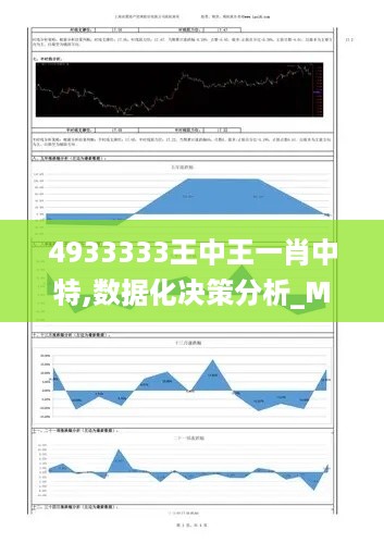 4933333王中王一肖中特,数据化决策分析_MRA19.42