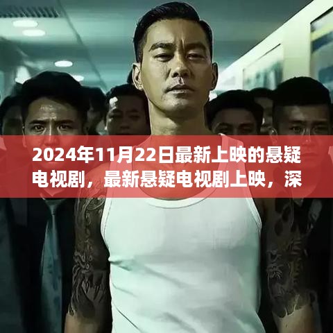 2024年悬疑电视剧盛宴，剧情深度剖析与个人独特观点