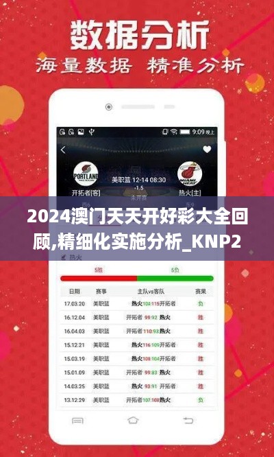 2024澳门天天开好彩大全回顾,精细化实施分析_KNP2.8