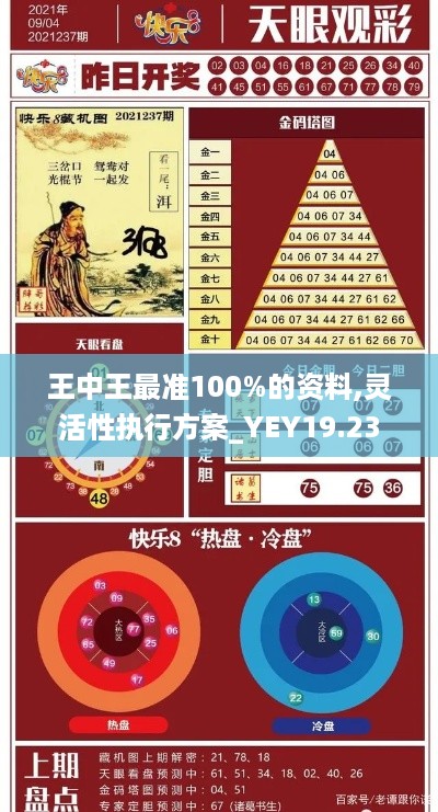 王中王最准100%的资料,灵活性执行方案_YEY19.23