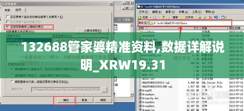 132688管家婆精准资料,数据详解说明_XRW19.31