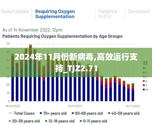 2024年11月份新病毒,高效运行支持_TJZ2.71