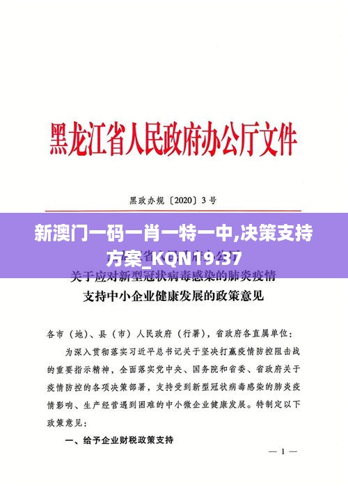 新澳门一码一肖一特一中,决策支持方案_KQN19.37