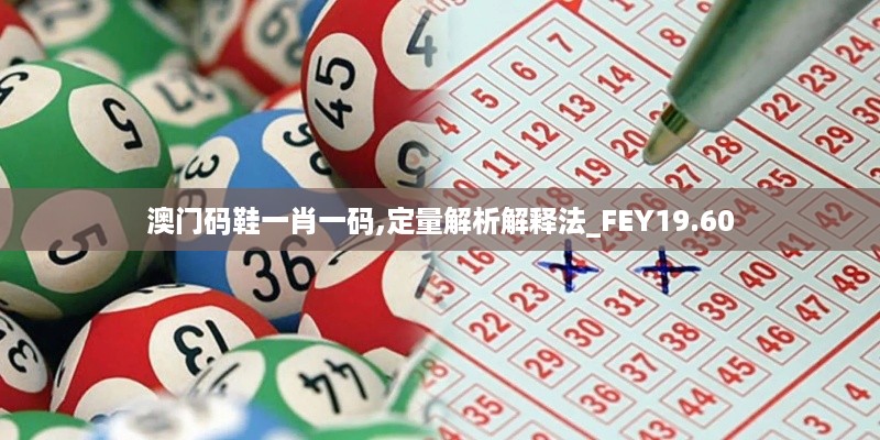 澳门码鞋一肖一码,定量解析解释法_FEY19.60