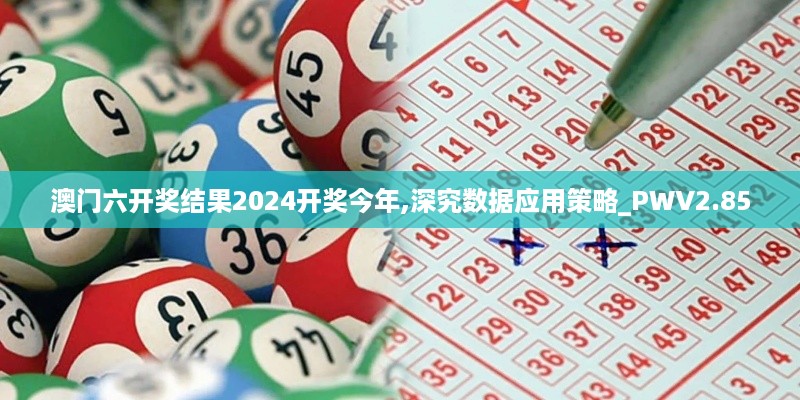 澳门六开奖结果2024开奖今年,深究数据应用策略_PWV2.85