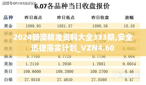 2024新澳精准资料大全333期,安全迅捷落实计划_VZN4.60