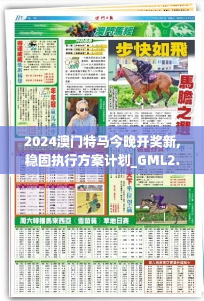 2024澳门特马今晚开奖新,稳固执行方案计划_GML2.89