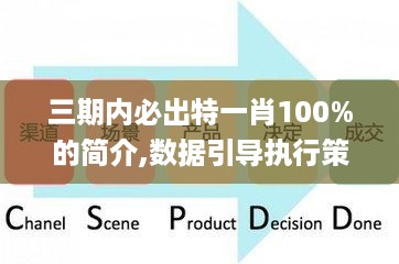 三期内必出特一肖100%的简介,数据引导执行策略_DPP19.94