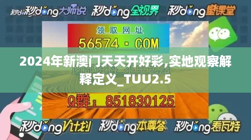 2024年新澳门天天开好彩,实地观察解释定义_TUU2.5