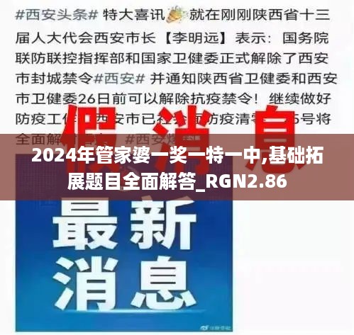 2024年管家婆一奖一特一中,基础拓展题目全面解答_RGN2.86