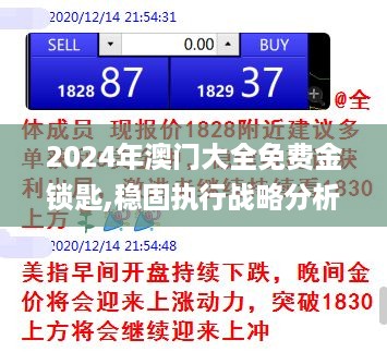 2024年澳门大全免费金锁匙,稳固执行战略分析_BHZ2.83