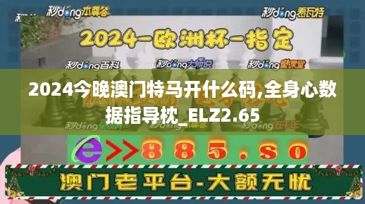 2024今晚澳门特马开什么码,全身心数据指导枕_ELZ2.65