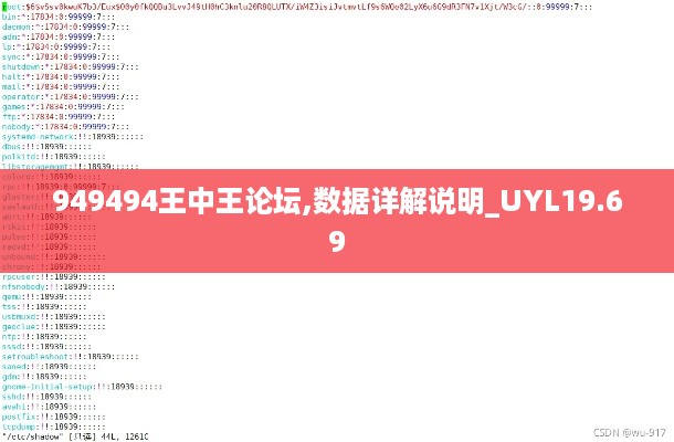 949494王中王论坛,数据详解说明_UYL19.69