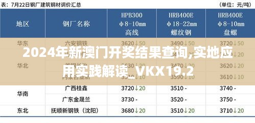 2024年新澳门开奖结果查询,实地应用实践解读_VKX19.2