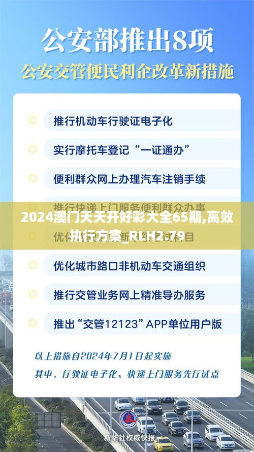 2024澳门天天开好彩大全65期,高效执行方案_RLH2.79