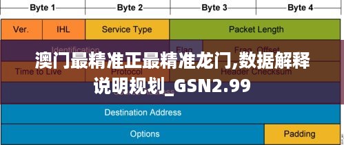 澳门最精准正最精准龙门,数据解释说明规划_GSN2.99