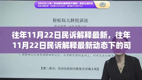 往年11月22日民诉解释最新动态下的司法实践与理论探讨研究综述