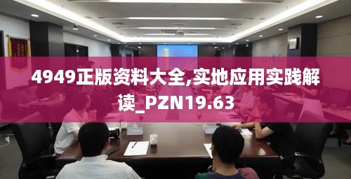 4949正版资料大全,实地应用实践解读_PZN19.63