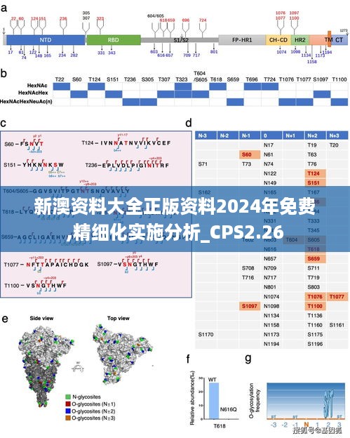 新澳资料大全正版资料2024年免费,精细化实施分析_CPS2.26